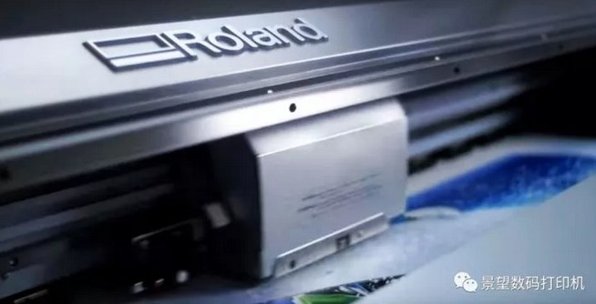 1508730989133054.jpg 5.JPG