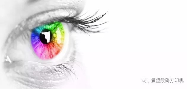 为什么写真机输出的色彩与显示器上看到的会有差异？