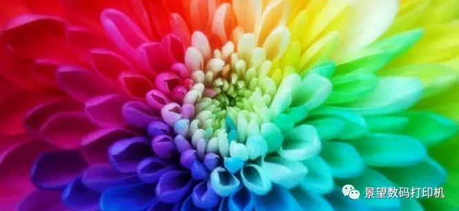 环保风暴不断,没有想到“它”竟成了印花企业的避风港……