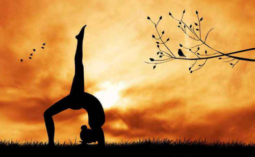 瑜伽服数码印花机，给瑜伽运动带来不一样的视觉体验