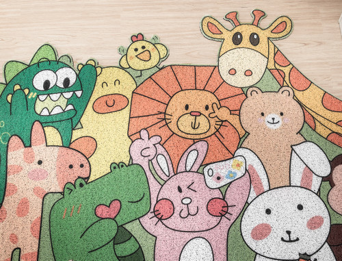 丝圈地垫数码打印方案，给你个性居家地垫定制体验